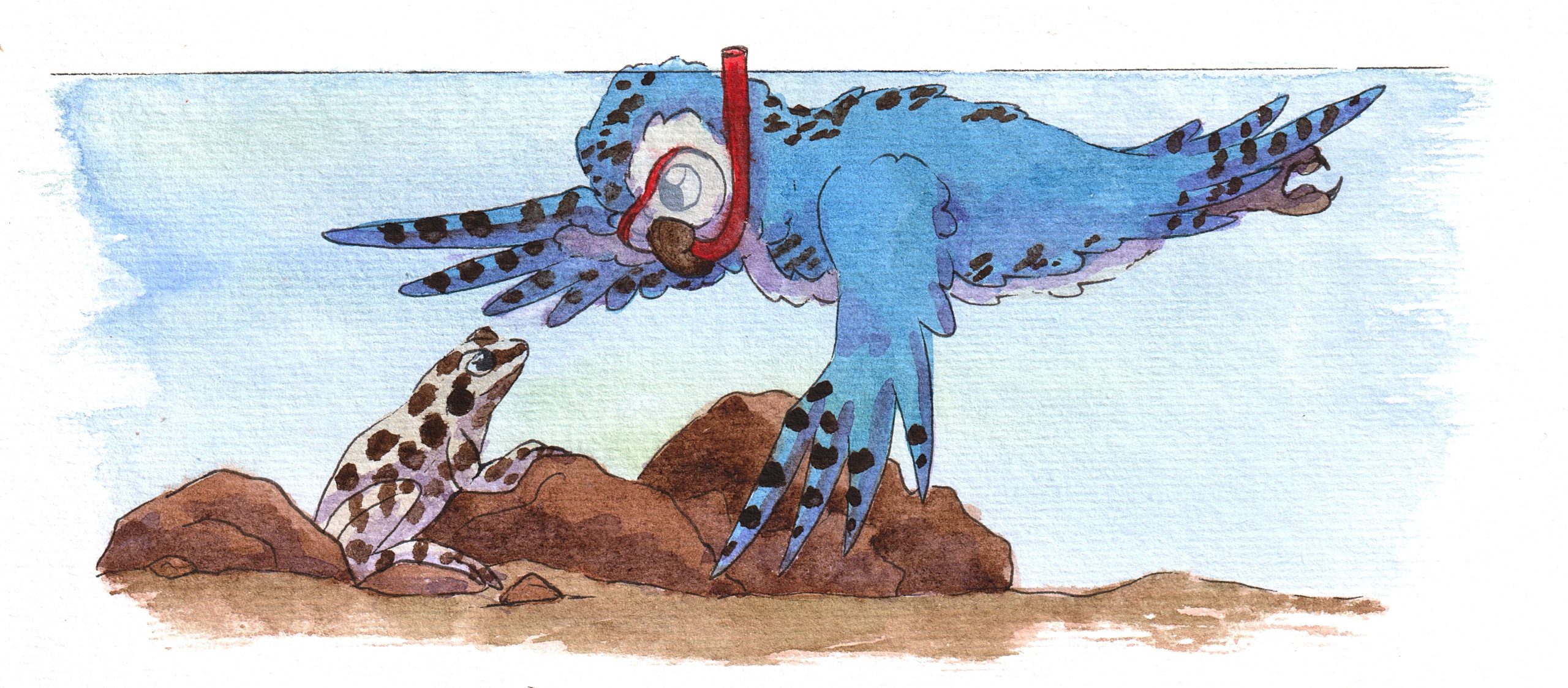 Les grenouilles – Image 2
